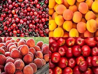 میوه‌های فاقد رنگ‌آمیزی بخرید ! / رنگ آمیزی میوه‌های نوبرانه سبب بهبود کیفیت نمی‌شود