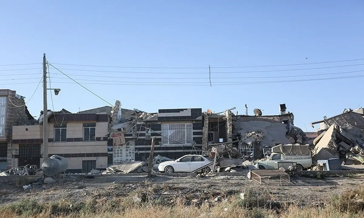 سگ های خود را به مناطق زلزله زده نبرید