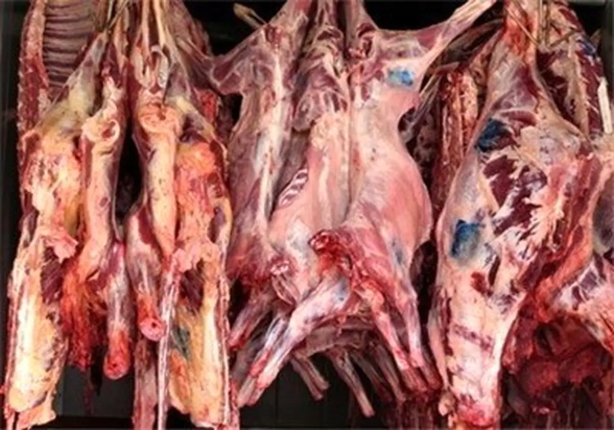 تاثیر گوشت در کاهش بینایی