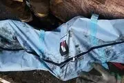 خروج پیکر هفت فوت شده از هواپیما