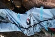 خروج پیکر هفت فوت شده از هواپیما