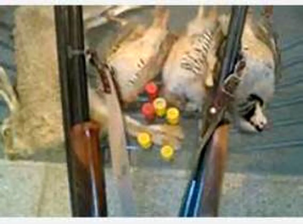 دستگیری 11 شکارچی پرندگان مهاجر در گنبدکاووس