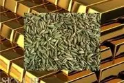 ورود طلای سبز به بورس ایران