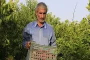 ابداع روش های منحصر به فرد کشاورزی توسط نخبه ای که سواد خواندن و نوشتن ندارد