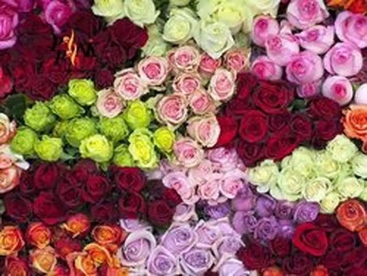 گران شدن 50 درصدی گل در آستانه روز مادر