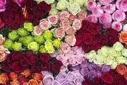 گران شدن 50 درصدی گل در آستانه روز مادر