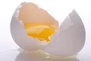 واردات تخم مرغ معنا ندارد 