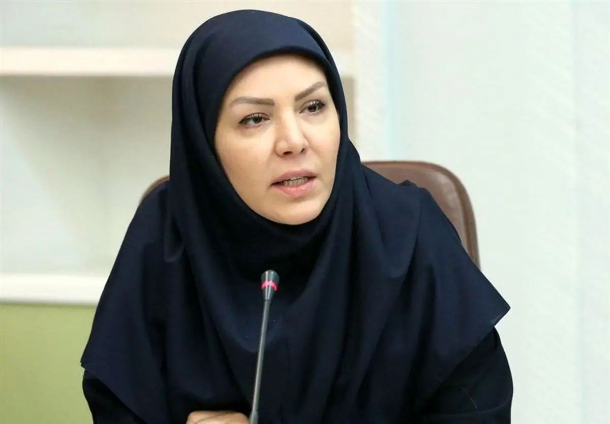افزایش ضریب نفوذ صندوق ضمانت صادرات /سه سال زودتر هم‌تراز استاندارد جهانی شدیم