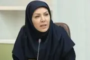 افزایش ضریب نفوذ صندوق ضمانت صادرات /سه سال زودتر هم‌تراز استاندارد جهانی شدیم