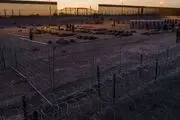قانون جدید پناهندگی بایدن مسدود شد