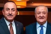 دیدار وزرای امور خارجه ازبکستان و ترکیه در «باکو»