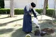 تخریب جنگلها و محیط زیست و پوشش‌های گیاهی تخریب منافع ملی است