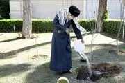 تخریب جنگلها و محیط زیست و پوشش‌های گیاهی تخریب منافع ملی است