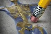 این عادت های غذایی را در خود ایجاد کنید تا پوکی استخوان نگیرید