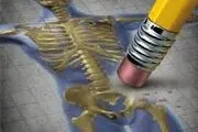 این عادت های غذایی را در خود ایجاد کنید تا پوکی استخوان نگیرید