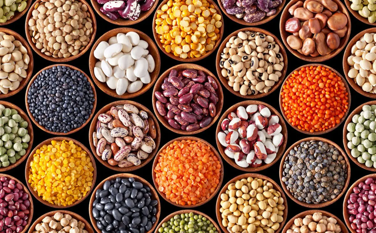 بالاترین و پایین ترین قیمت حبوبات در میادین میوه و تره بار