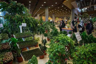 افتتاح چهارمین دوره از نمایشگاه گیاهان دارویی