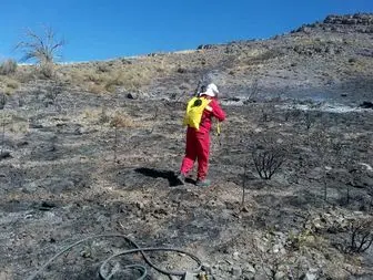 چهار هکتار از مراتع شهرستان بردسیر در آتش سوخت