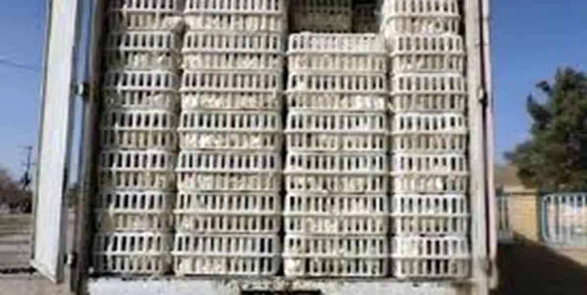 کشف بیش از 2 تن مرغ قاچاق 