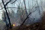 آتش سوزی در جنگل های رودبار