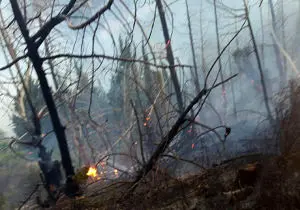 آتش سوزی در جنگل های رودبار