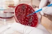 روزنه امید جدید برای بیماران مبتلا به سرطان خون
