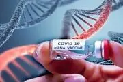 مجوز تست انسانی واکسن mRNA ایرانی کرونا صادر نشده است

