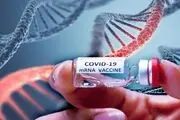 مجوز تست انسانی واکسن mRNA ایرانی کرونا صادر نشده است
