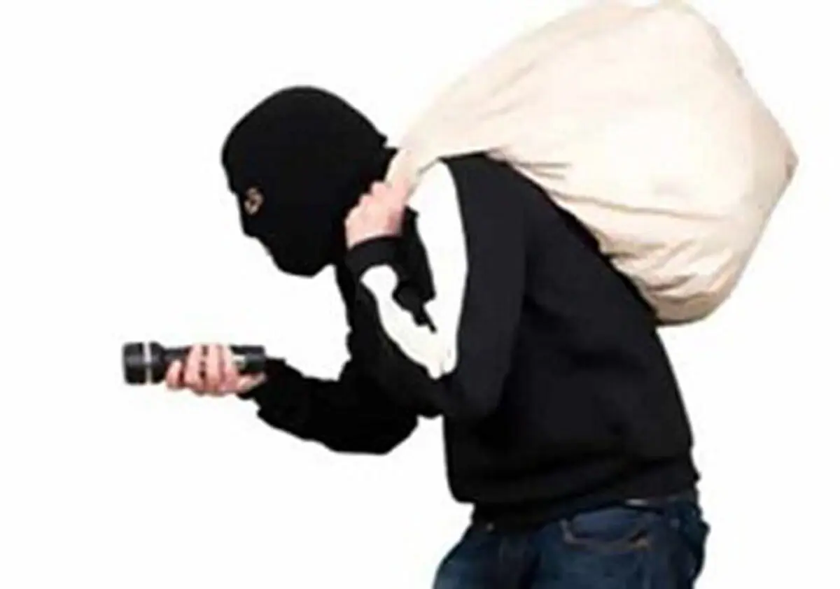 
سرقت از طلافروشی در لرستان
