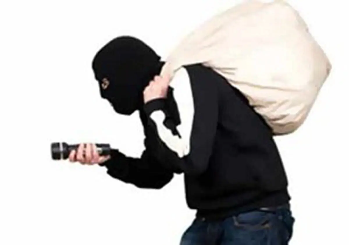 
سرقت از طلافروشی در لرستان
