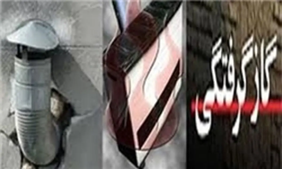 گازگرفتگی باز هم گریبانگیر زائران مشهدالرضا شد
