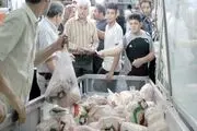 ردپای دلالان در آشفتگی بازار مرغ