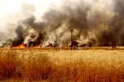 مزارع ، قربانی درگیری نیروهای کرد و ارتش ترکیه