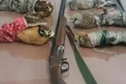 
متلاشی شدن باند خرید و فروش پرندگان شکاری+ تصاویر
