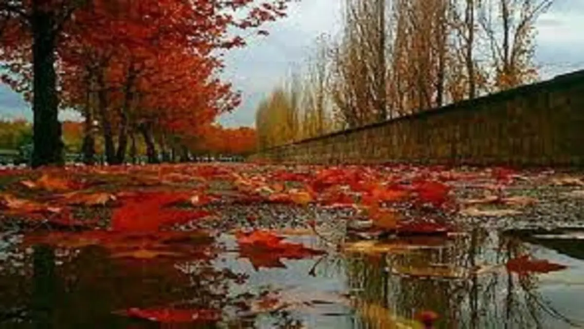 هفته آینده هیچ نقطه‌ای بدون بارش نخواهد بود
