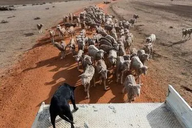 Q5W3hEokvpbC