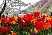 احداث 40هکتار فضای سبز پیرامون بزرگترین مجتمع نمایشگاهی کشور
