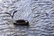  میهمان این روزهای تهران/ عکس