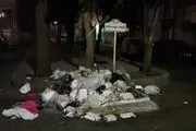توضیحات شهرداری درباره سرقت مخازن زباله و انباشت پسماند در معابر
