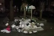 توضیحات شهرداری درباره سرقت مخازن زباله و انباشت پسماند در معابر
