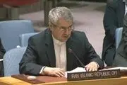 مجمع عمومی جلوی نقض حقوق بین‌الملل از سوی آمریکا را بگیرد