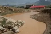 شاهکاری از جنس نبود نظارت در هرسین