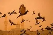 هوای غبارآلود بین‌الحرمین/ گزارش تصویری