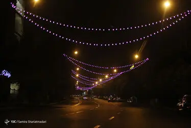 12305224_894