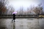 بارش باران بهاری در تهران/ عکس