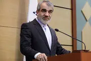 واکنش «کدخدایی» به هجمه‌ها علیه شورای نگهبان درباره قتل رومینا