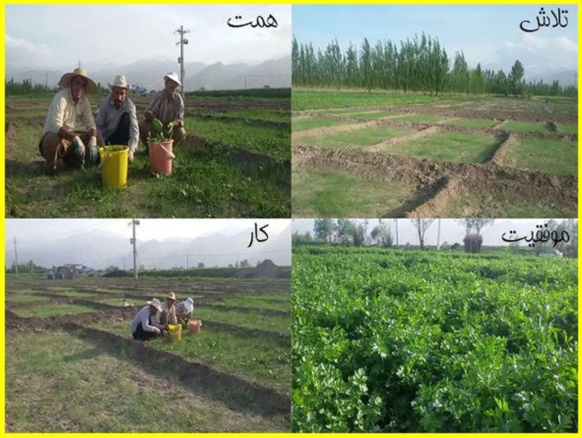 حمایت همه جانبه ی مسئولین نیاز اصلی کار آفرینان