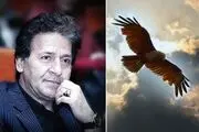 انتقاد ابوالفضل پورعرب از شکار و قاچاق پرندگان
