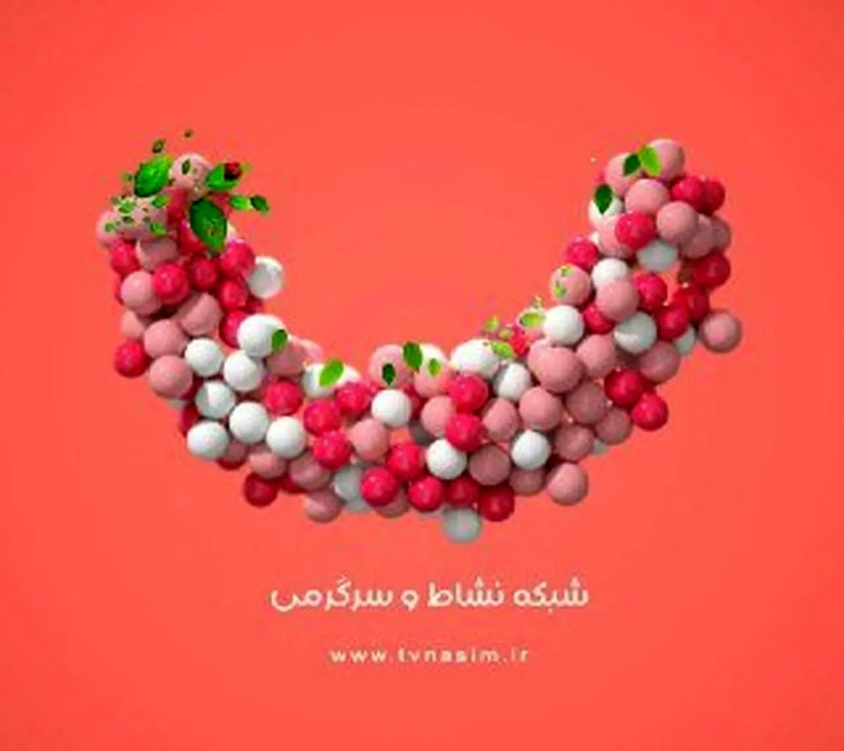 شروع پخش برنامههای جدید شبکه نسیم در دهه کرامت