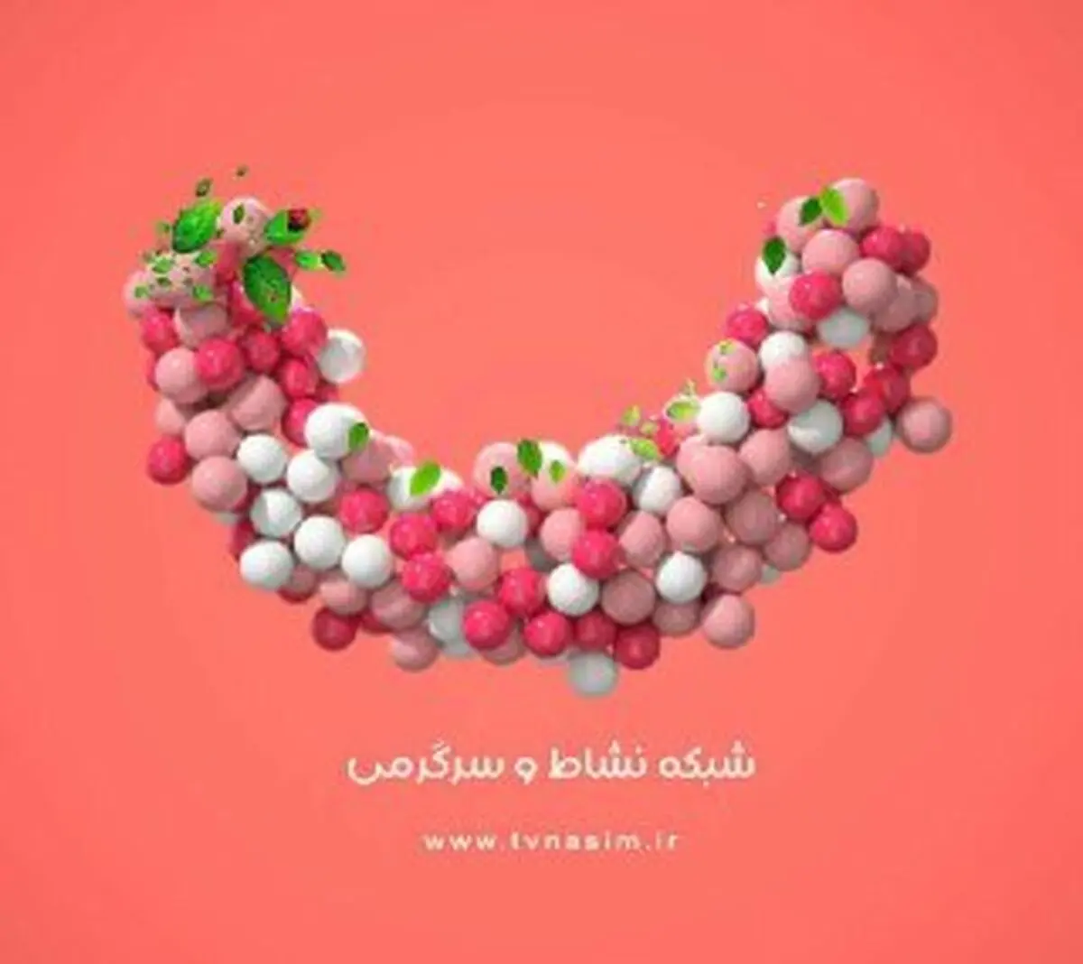 شروع پخش برنامه‌های جدید شبکه نسیم در دهه کرامت